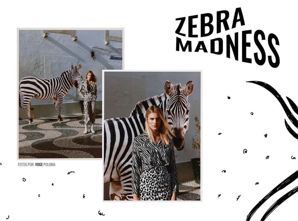 zebra madness