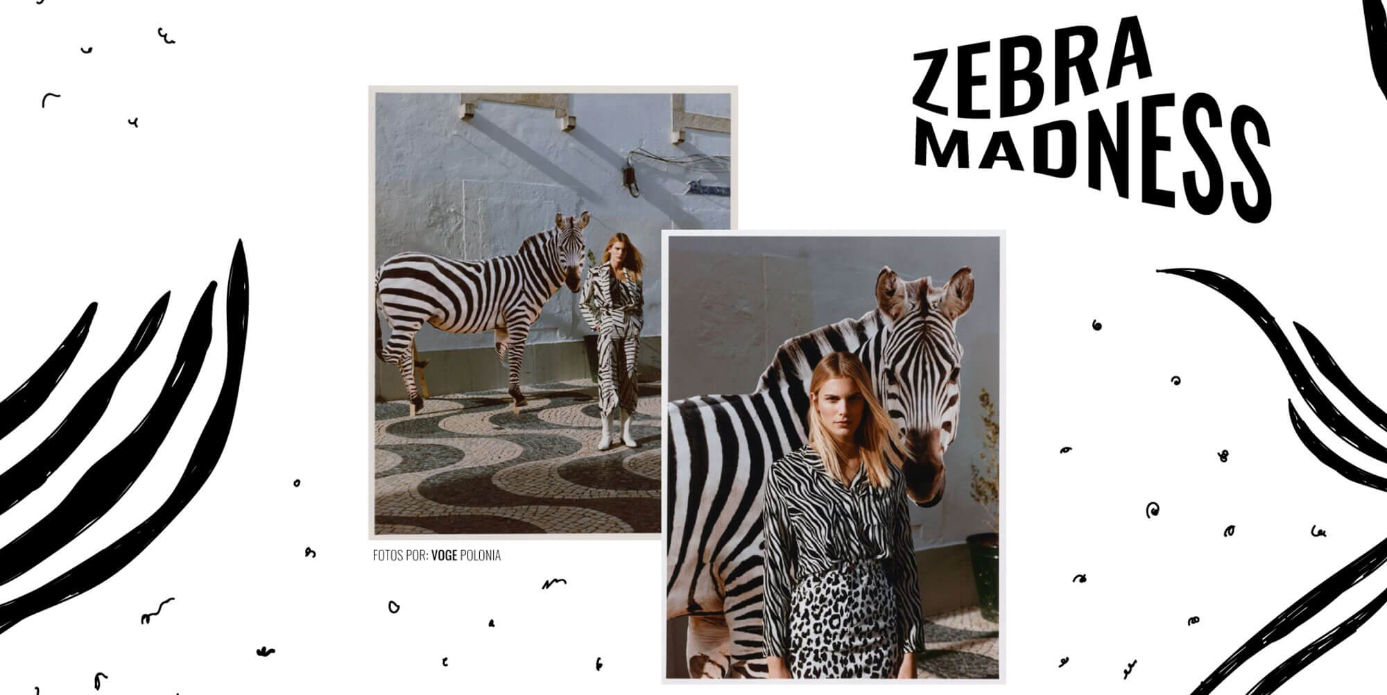 zebra madness